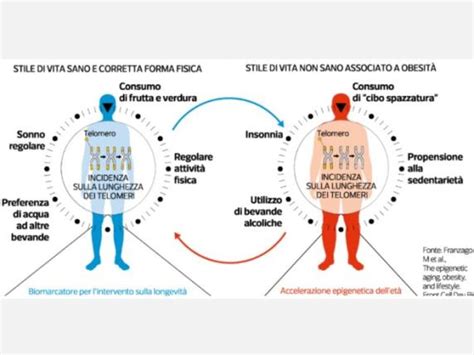 Come Invecchiare Meno E Meglio E Perch Il Di Noi Ha Un Organo Che