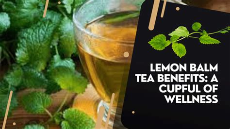 Lemon Balm Tea Benefits: A Cupful of Wellness - Am2pm.pk