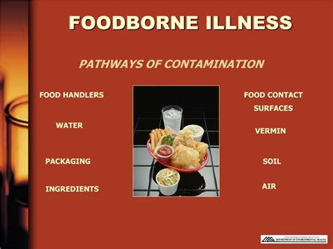 Ppt Foodborne Illness Powerpoint Presentation Free Download Id 328925