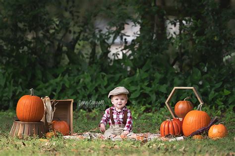 3 Pumpkin Fall Autumn Digital Background Backdrop - Etsy