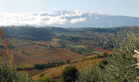 Torre Zambra 1 Vinibuoni D Italia