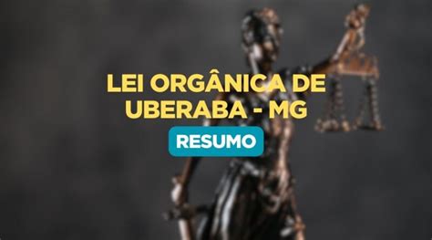 Resumo Da Lei Org Nica De Uberaba Mg Canal Resolvendo