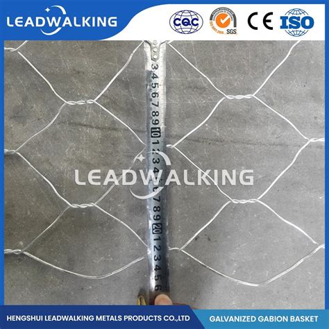 Leadwalking Pvc Coated Galvanized Double Twisted Hexagonal Steel Wire