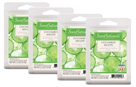 Scentsationals 25 Oz Cucumber Melon Scented Wax Melts 4 Pack