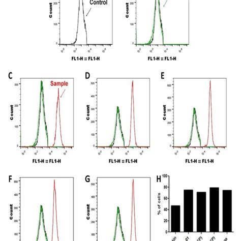 Results Of Tumorsphere Formation Assay Download Scientific Diagram