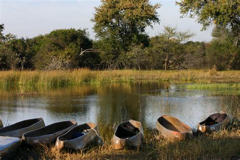 An Okavango Delta Safari in a Mokoro [Bucket List!]