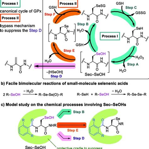 Monitoring Of The Cyclization Of SecSeOHs 1 To Cyclic Selenenyl Amides