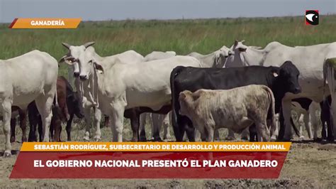 El Gobierno Nacional Present El Plan Ganadero V Deo Dailymotion