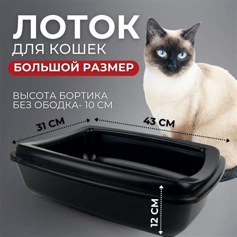 Туалеты для малых кошек — купить на OZON с быстрой доставкой
