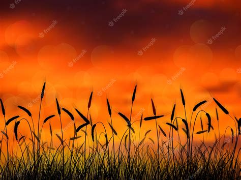 Premium Vector | Silhouette of wheat at sunset