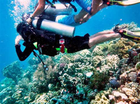 Visit Coral Garden Marine Park For Lots Of Diving Pleasure Travel To