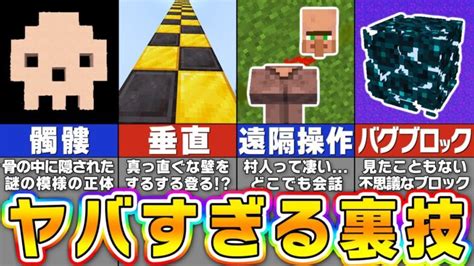 【検証】誰も知らないマイクラの謎すぎる秘密・バグ裏技9選【まいくら・マインクラフト】 Minecraft Summary マイクラ動画