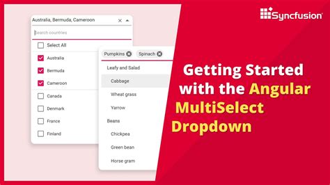 Getting Started With The Angular Multiselect Dropdown Youtube