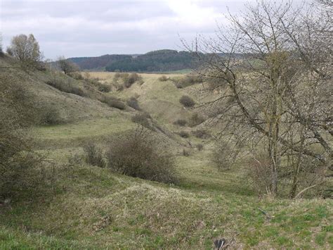 Mineralienatlas Lexikon - Doline