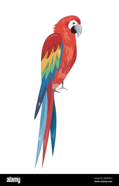 Parrot cartoon hi-res stock photography and images - Alamy