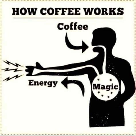 Discover the Magic of Coffee