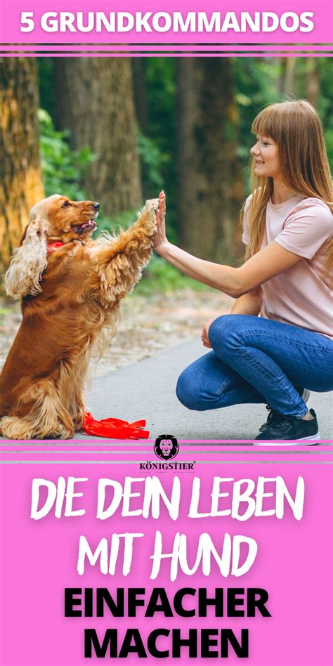 Wenn Du Deinen Hund Wichtige Kommandos Beibringen Willst Dann Sind