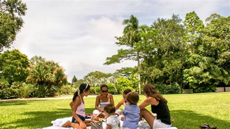 Best Things To Do At Fairchild Tropical Botanic Garden Mommy Nearest