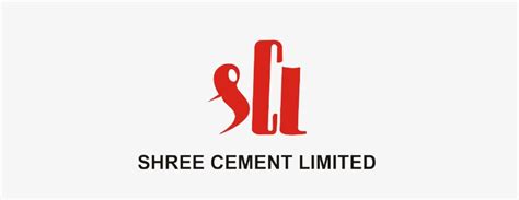 Shree Cement How Government Inspection Impacted Share Price