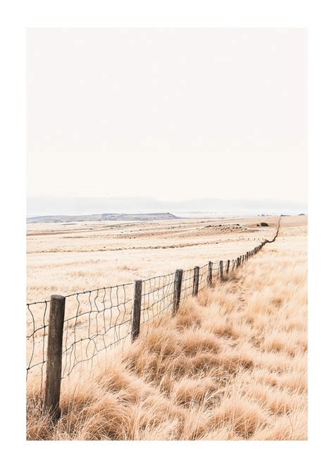 Serene Landscape Poster Natur Gallerix Se