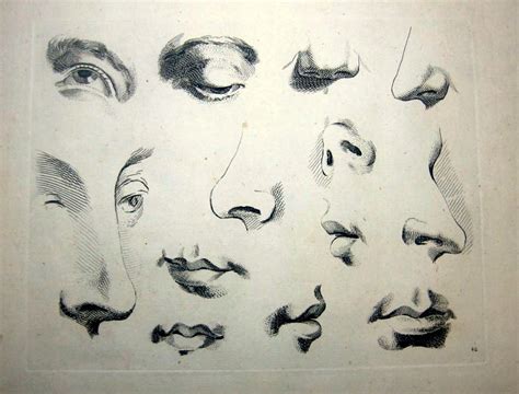 Figure Drawing: How to draw Eyes, Nose, Ears and Mouths