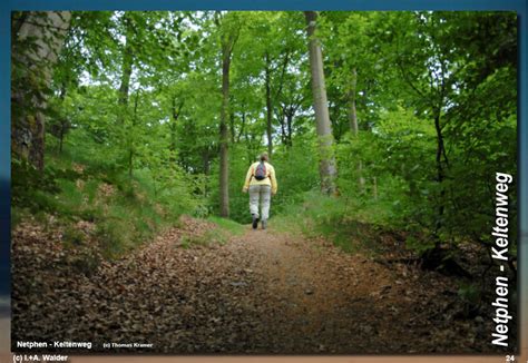 Netphener Keltenweg