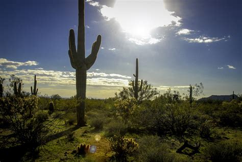 arizona desert landscape  stock photo public domain pictures