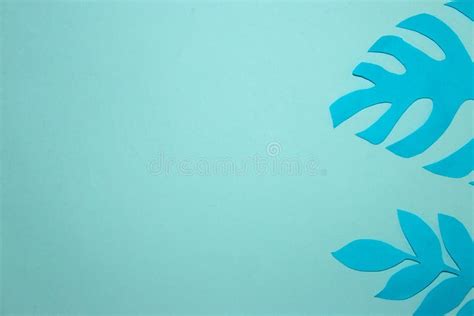 Blue Paper Jungle Leaf On The Right Pastel Blue Background Creative