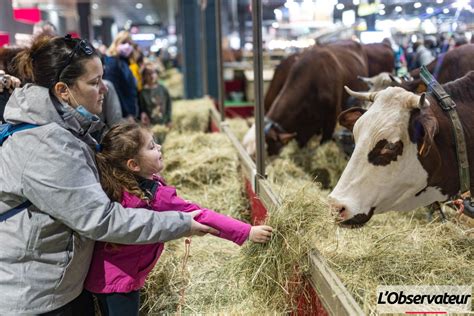 Ce Qu Il Faut Savoir Sur Le Salon International De L Agriculture