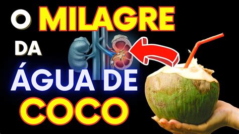 Beba Água De Coco Todos Os Dias E Veja O Que Acontece Com Seu Corpo 10 BenefÍcios Provados E