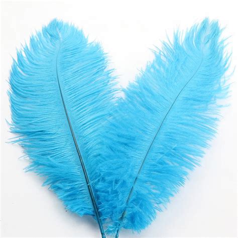 Sunggoko Ostrich Feather About 32 Cmcolorful Feathers Wedding