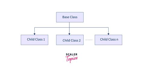 Hierarchical Inheritance In Java With Example Scaler Topics