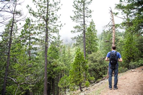 Hiking Castle Crags - littlegrunts.com