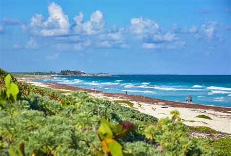 15 Best Beaches In Cozumel The Crazy Tourist