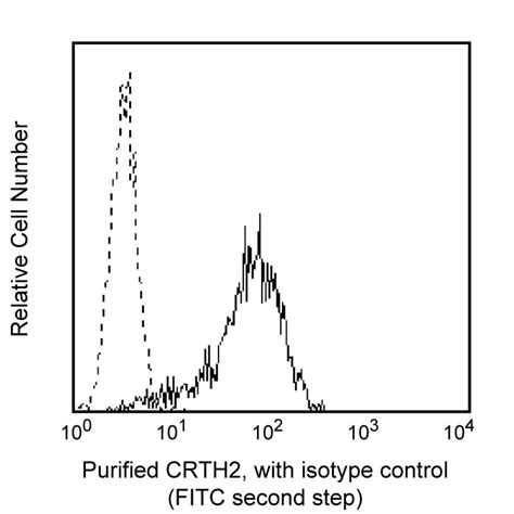 Purified Rat Anti Human Cd294