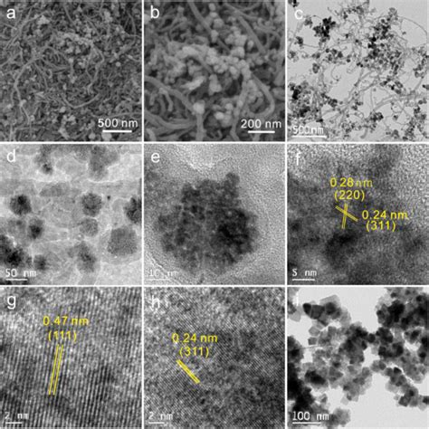 Sem Micrographs A B Tem Micrographs C E Hr Tem Micrographs F H