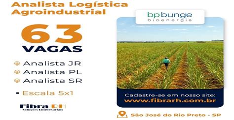 BP Bunge vaga para analista de logística agroindustrial Cana Online