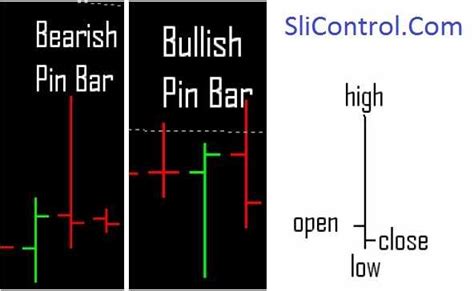 Know More ‘ Pin Bar ’ - Forex Education - SliControl.Com