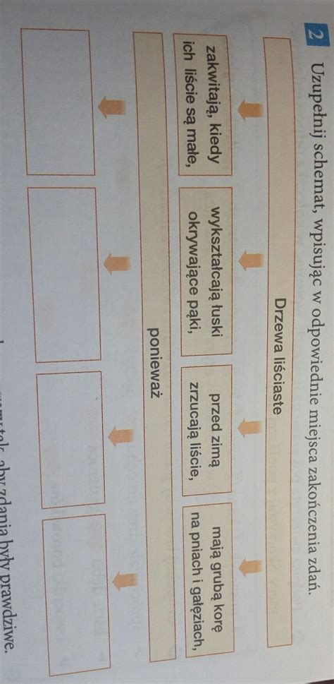 Uzupełnij Schemat Wpisz W Odpowiednie Miejsca Zakończenia Zdań