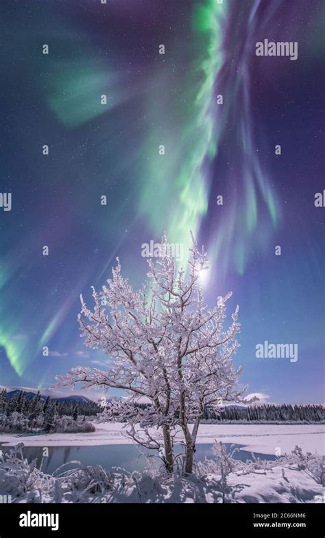 Yukon territory northern lights hi-res stock photography and images - Alamy