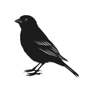 Bird Sparrow Silhouette Sparrow Bird Silhouette PNG Transparent