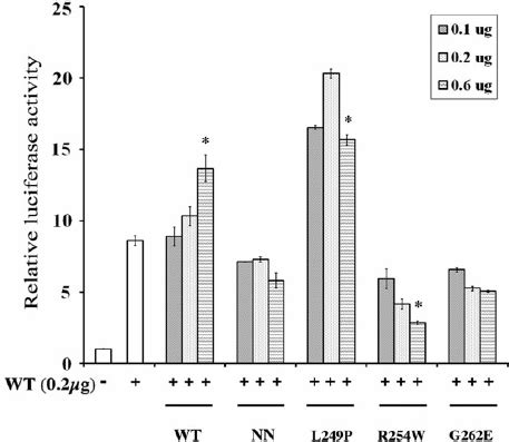 Cell Fractionation Reveals Changes In The Nuclear Cytoplasmic Ratio Of