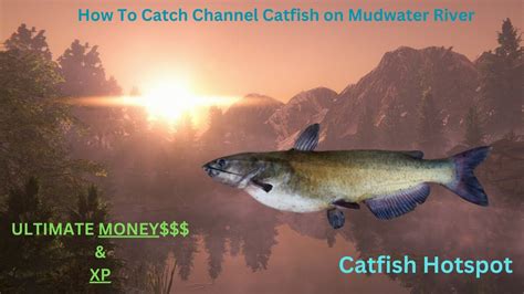 How To Make Money By Catfishing Mudwater River Fishing Planet Ep 1