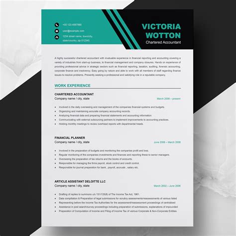 chartered accountant resume template modern ca cv format  finance