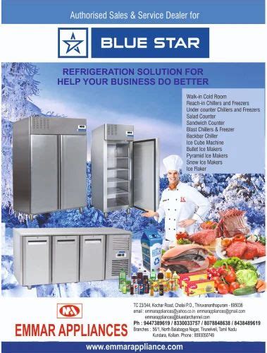 Medium Vertical Deep Freezer, Capacity: 200 L at Rs 200000 in ...