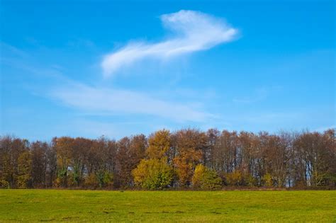 Free Images Landscape Tree Nature Grass Horizon Mountain Cloud