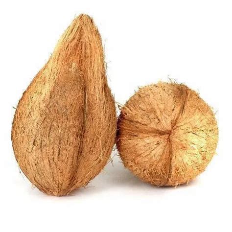 A Grade Solid Semi Husked Pooja Coconut Coconut Size Available Medium