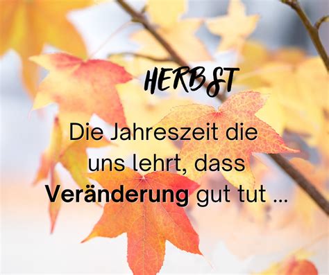 Sicher Durch Den Herbst Werkstatt Tuertscher At