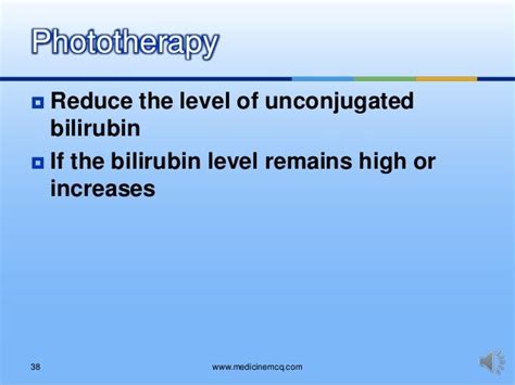 Liver Bilirubin Metabolism Physiological Jaundice