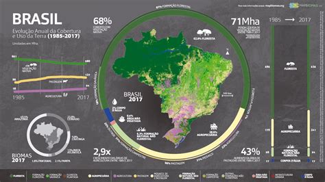 Monitoramento Da Cobertura E Uso Da Terra é Destaque No Geopantanal